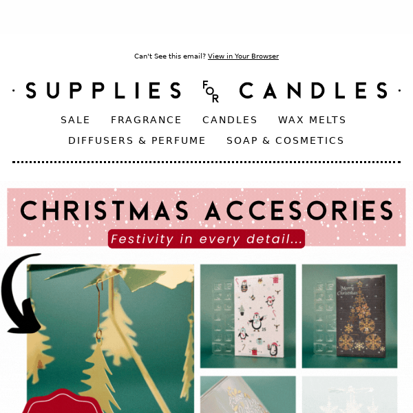 ✨ BRAND NEW Christmas Accessories ✨