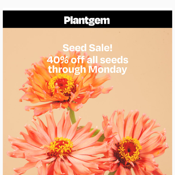 Last day for 40% off all Flower Seeds!