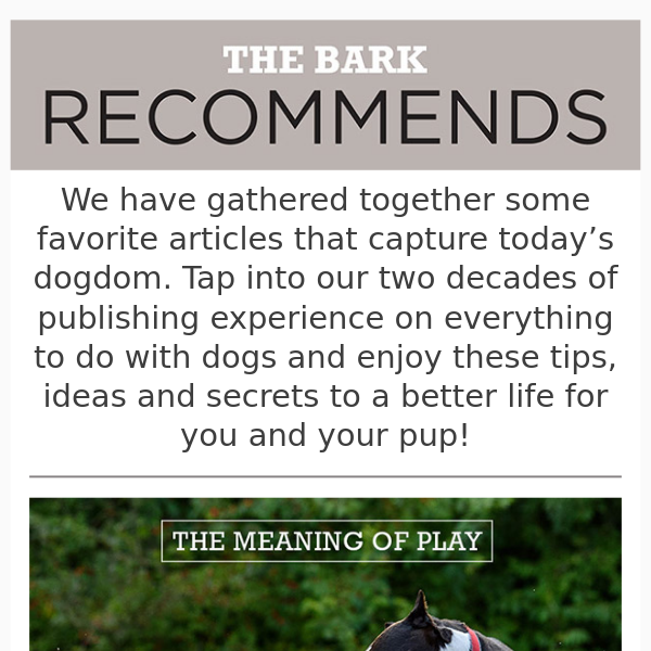 The Bark Recommended Reading ✅