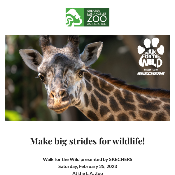 NEW Challenge Match: Walk for the Wild donations doubled
