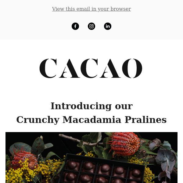 Introducing our crunchy macadamia pralines