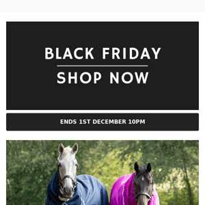 Black Friday Sale - Ending Soon!