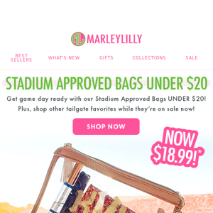 Stadium-Approved Bags 🏈 UNDER $20!