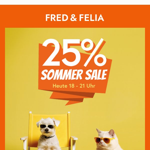 ☀️ Jetzt wird's heiß: -25% sparen in unserem Sommer Sale!