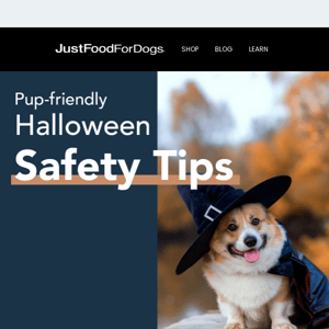 Check Out These Halloween Safety Tips 🎃