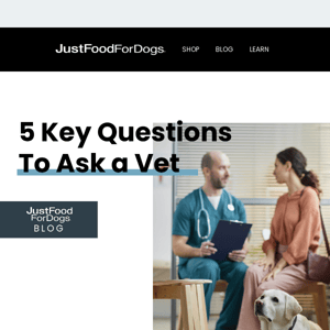 5 Key Questions to Ask a Vet