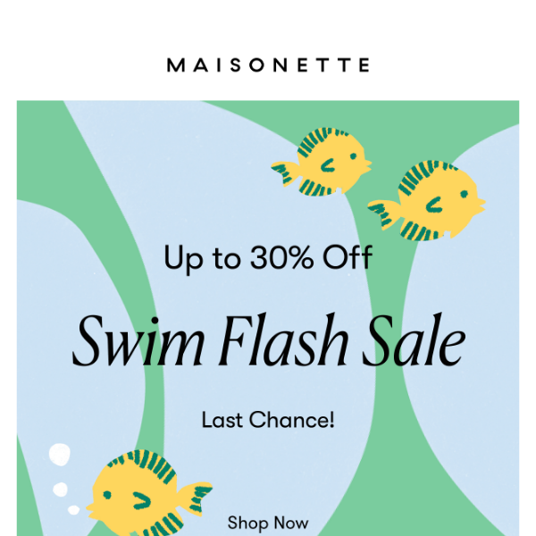 Flash Sale - Extended!