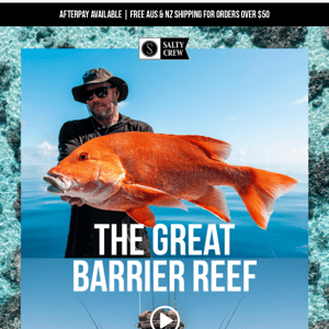 The Great Barrier Reef