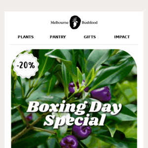 Boxing Day Special For 48 Hours Only...