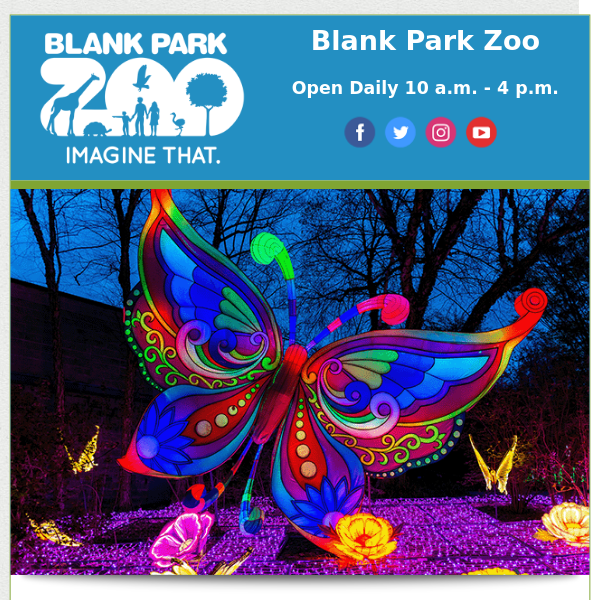 Wild Lights, Hope for the Wild, Adopt an Okapi and more Blank Park Zoo