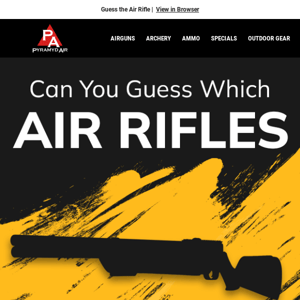 Take a Guess: Top Air Rifles of 2022