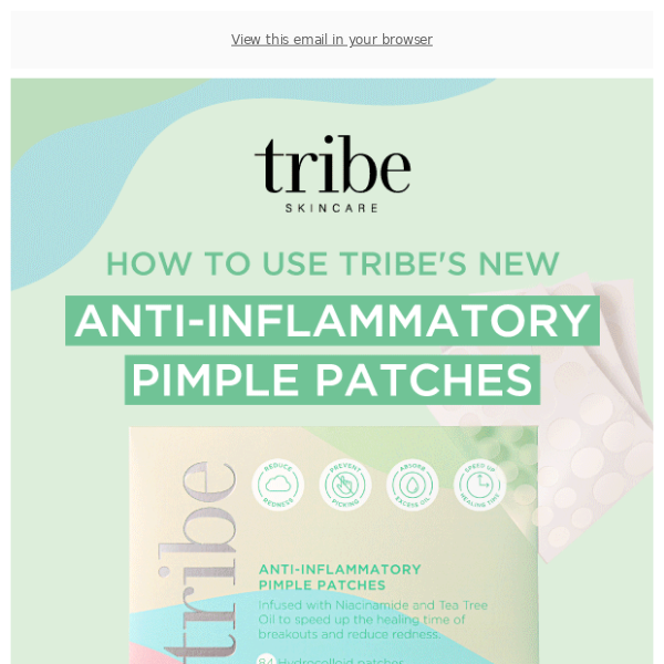 HELP! How do I use Tribe's NEW product?🤔