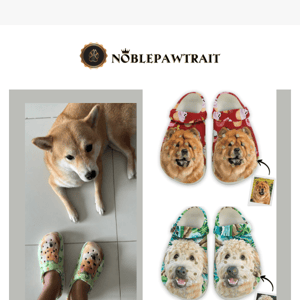 🤣 Step into the Spotlight with Our Custom Pet Clogs and Unleash Laughter Everywhere You Go!