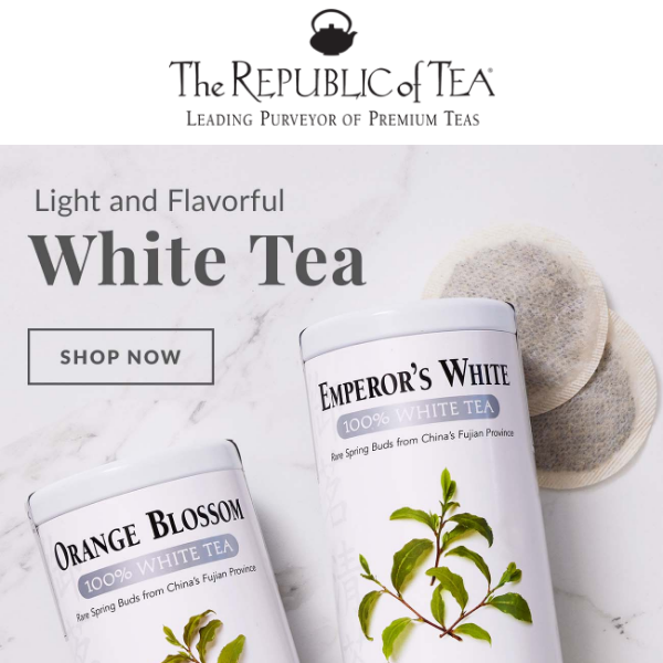 What is White Tea?