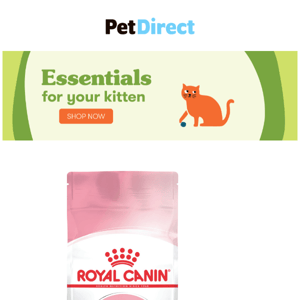 Essentials for your puppy or kitten