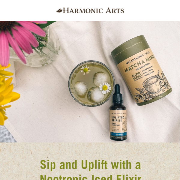 🌞 Stir, sip, and uplift with recipe!