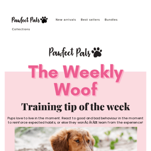 The Weekly Woof is back!