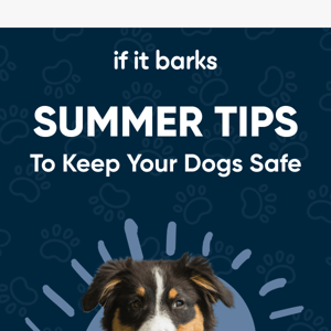 The Dog Days of Summer ( Hot Day Tips Inside ) If It Barks