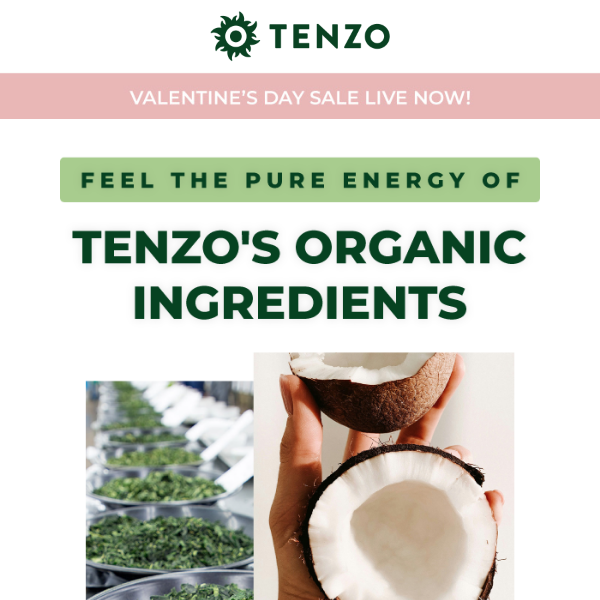 Discover the Tenzo Difference: Pure, Organic, Energizing! 🌿💫