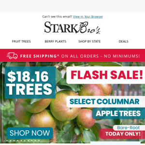 ⚡🍎 FLASH SALE! $18.16 Apple Trees - Today Only!