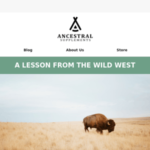 A lesson from the Wild West reveals the secret to better energy, vitality and strength...