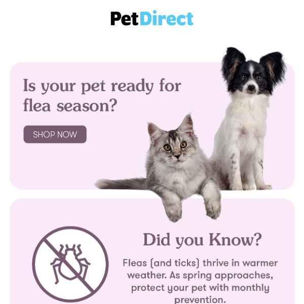Is Your Pet Protected This Flea Season?