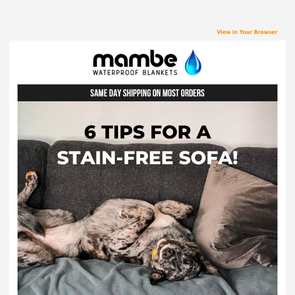 Want a stain-free sofa?