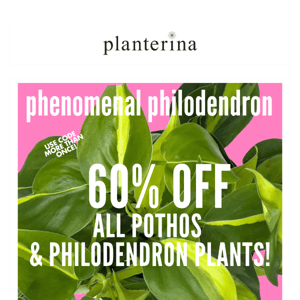 Phenomenal Philodendron & MORE...up to 60% off.