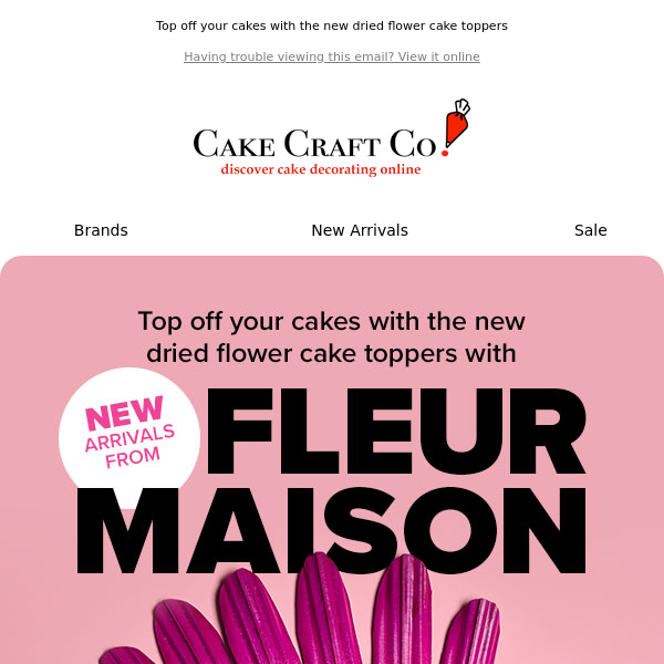 NEW Fleur Power 🌷10% OFF Dried Blooms! Code: FLEUR10