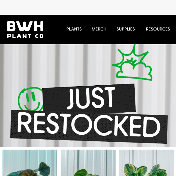 🚨 BWH RESTOCK ALERT 🚨