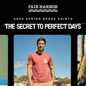 Meet Your NEW Spring Tees