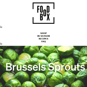 Brussels Sprout Season