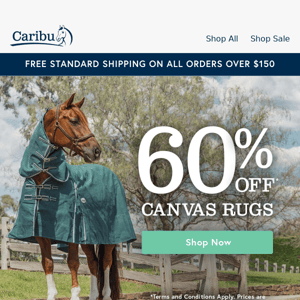 📢 PSA: 60% Off Canvas Rugs