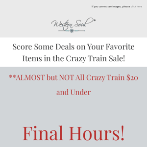 🚂🚂Final Hours!!! $20 Crazy Train SALE!!!