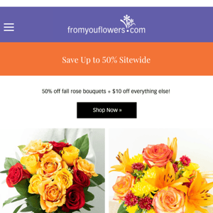 Save 50% on Fall Roses Today!