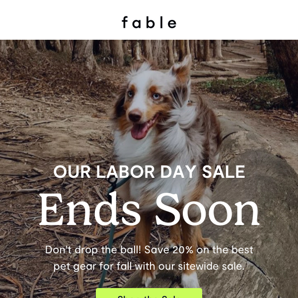 Fable Pets - Latest Emails, Sales & Deals