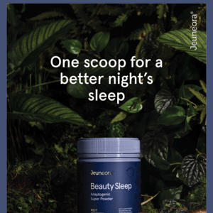 New product alert! Beauty Sleep available now