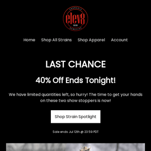 👀 DON'T MISS 40% OFF 👀