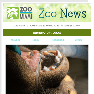 ZOO NEWS: Dental Week at Zoo Miami