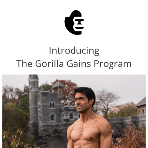 Introducing Gorilla Gains