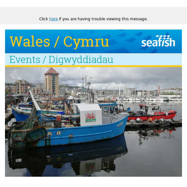 Wales Newsletter- Aberystwyth Roadshow Special