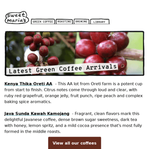 The Long Awaited Return of Green Coffee from Java