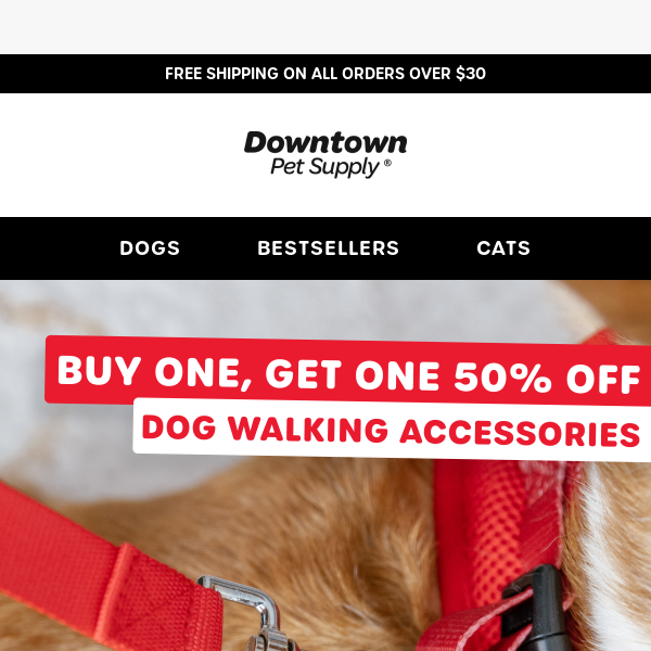 BOGO 50% OFF dog walking essentials