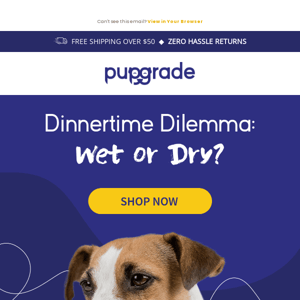 Your 101 Guide to Dog Nutrition 🦴