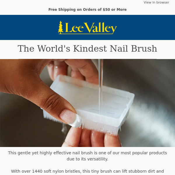 The World's Kindest Nail Brush – For More Than Just Hands