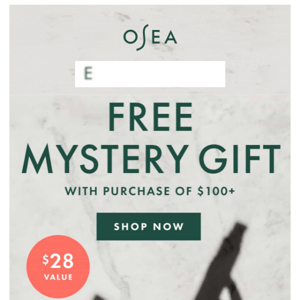 Last Call for a FREE Mystery Gift!