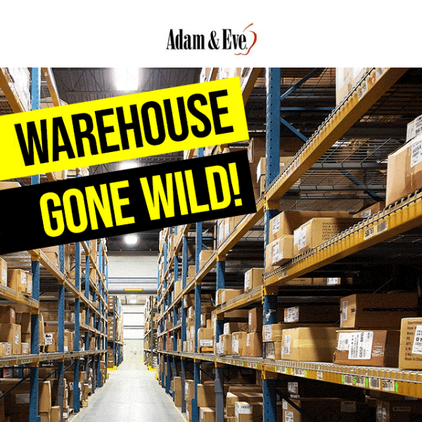 ⚠️Warehouse Full! Take 33% OFF your whole order