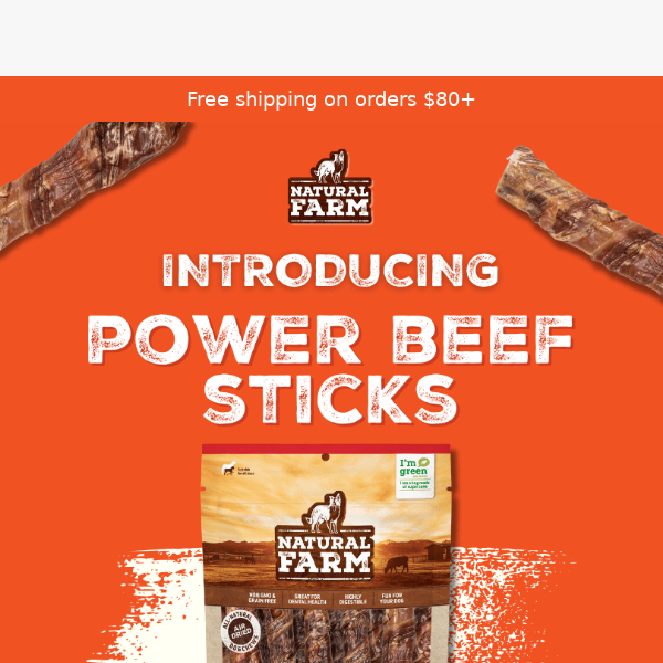 Meet Power Beef Sticks!