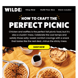 Trying to Craft the Perfect Fall Picnic? 🍁