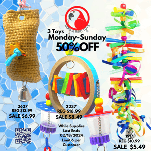 🎉 Limited Time Offer: 50% Off Selected Bird Toys + Valentine's Day Sale at Bonka Bird Toys!"